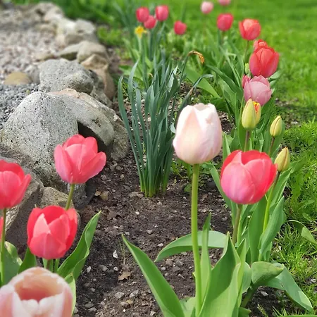 Toscana Restaurant And Gæstehus