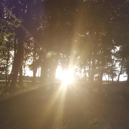 Toscana Restaurant And 2*